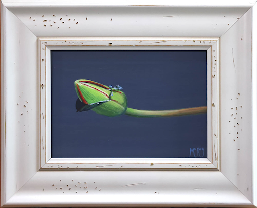 Waterlily Bud 5x7 $240 at Hunter Wolff Gallery